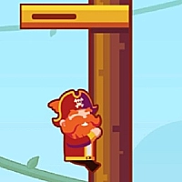 Private Pirate Game Cover
