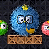 Where's my ruffled bird? Game Cover