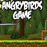 AngryBird Game Cover