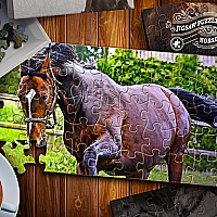 Jigsaw Puzzle Horses Edition Game Cover