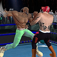 Real Boxing Fighting Game Cover