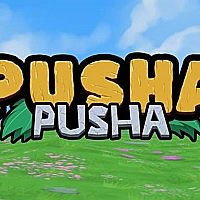 Pusha Pusha Game Cover