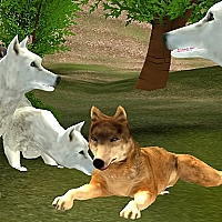 Wild Wolves Game Cover