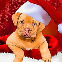 Christmas Dogs Styles Game Cover