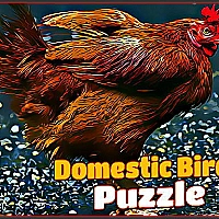 Domestic Birds Puzzle Game Cover