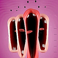 Funny Chorus Game Cover