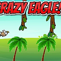 CRAZY EAGLE Game Cover