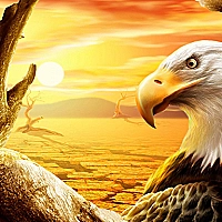 Eagle Slide Game Cover