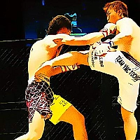 UFC Fighting Match Jigsaw Game Cover