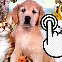 Pets Clicker Game Cover
