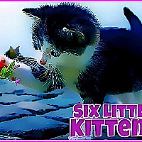 Six Little Kittens Game Cover