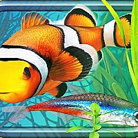 Fish Farm - Aquarium Simulator Game Cover