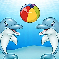 Dolphin Show Game Cover