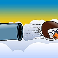 Cannon Duck Game Cover