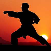 Karate Sunset Warriors Game Cover