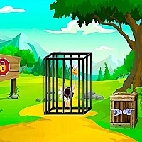 Rescue The Ostrich Chick Game Cover