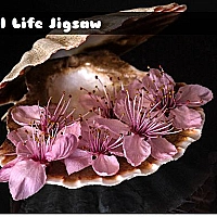 Still Life Jigsaw Game Cover