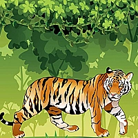 Angry Tiger Coloring Game Cover