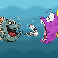 Angry Fish Coloring Game Cover