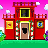 Black Pigeon Escape Game Cover