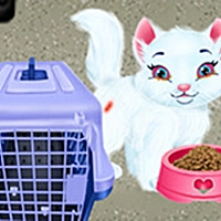 Baby Taylor Pet Care - Save Cute Animals Game Cover