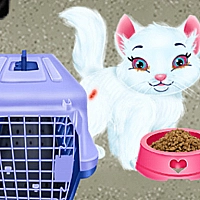 Baby Taylor Pet Care Game Cover