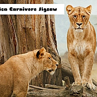 Africa Carnivore Jigsaw Game Cover