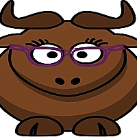 Bull Touch Game Cover
