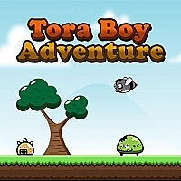 Tora Boy Adventure Game Cover