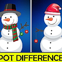 Christmas Spot differences Game Cover