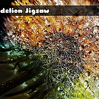 Dandelion Jigsaw Game Cover
