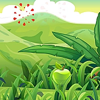 Fruit Cutter Game Cover