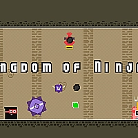 Kingdom of Ninja 4 Game Cover