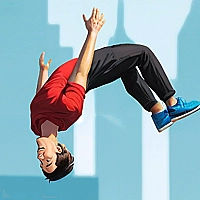 Flip Master Game Cover