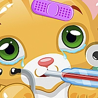 Little Cat Doctor cover