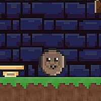 Logus Pocus Game Cover