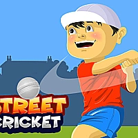Street Cricket Game Cover