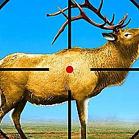 Wild Deer Hunting 3D Game Cover
