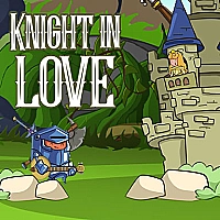 Knight in Love Game Cover