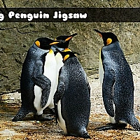 King Penguin Jigsaw Game Cover