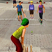 Gully Cricket Game Cover