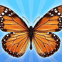 MergeButerfly: 2048! Game Cover