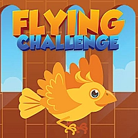 Flying Challenge Game Cover