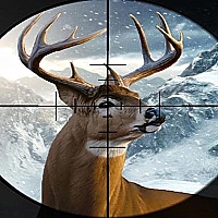 Hunter 3d Game Cover
