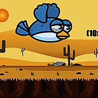 Equation Flapping Game Cover