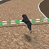 Crazy Real Dog Race Game Cover