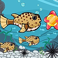 Run Fish Run Game Cover