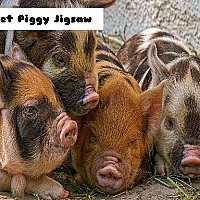 Piglet Piggy Jigsaw Game Cover