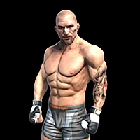 Fight Arena Online Game Cover
