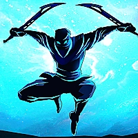 Shadow Ninja Warriors Game Cover